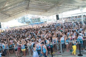 Porcada Summer